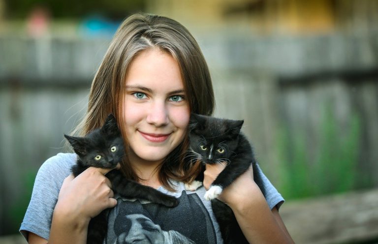 pet care