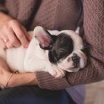 puppy-outdoor-5.jpeg