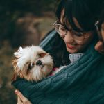 shihtzu-love-1.jpeg