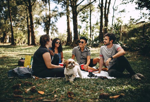 outdoor-dog-friends-2.jpeg