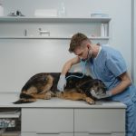 dog-care-1.jpeg