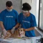veterinary-clinic.jpeg