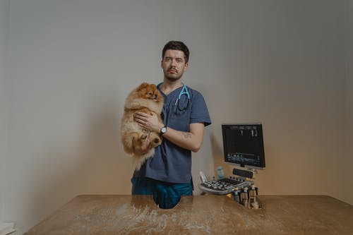 animal-clinic-personnel-5.jpeg