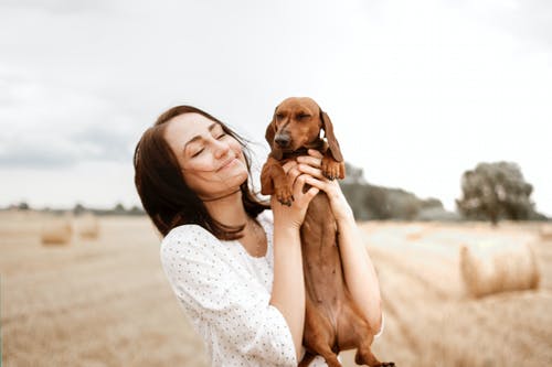 happy-dog-6.jpeg